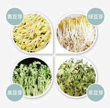 Load image into Gallery viewer, Bean Sprout Breeding Container
